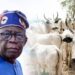 Nigeria: President Tinubu Creates Livestock Ministry To Appease Farmer-Herders Crisis