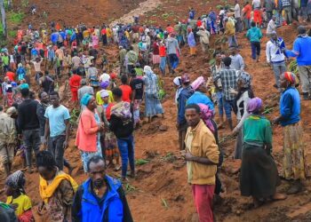 229 Dead As Devastating Landslides Strike Southern Ethiopia