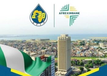 Africa Energy Bank Set To Launch By Mid-Year