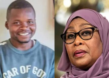 Tanzania: Artist Who Set President’s Image On Fire Bags Jail Term