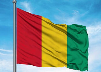 Guinea: Lawyers Commence Two-Week Strike Over “Arbitrary Arrests”