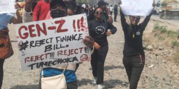 Kenyan Police Chief Urges Gen Z To Give President Time To Address Concerns