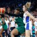 Nigeria Lose To Host France In Olympics Basketball Clash