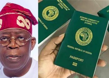 Why We Increased Passport Fees – Nigerian Govt
