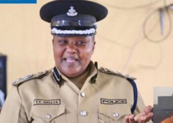 Tanzania: Female Police Commander Who Linked Gang Rape Victim With Sex Work Removed