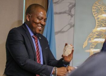 Botswana: Govt Discovers Historic 2,492-carat Diamond