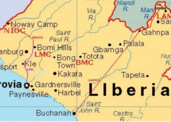 Liberia Shuts Down Chinese Firm Over Environmental Degradation
