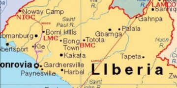 Liberia Shuts Down Chinese Firm Over Environmental Degradation