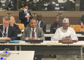 UNGA 79: Nigeria Backs Nuclear Weapon-free Africa Campaign
