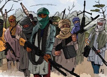 A Nation Under The Gun