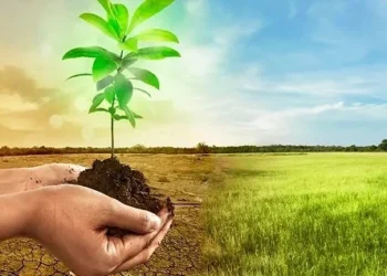 Africa Needs $50bn Annually To Adapt to Climate Change – WMO