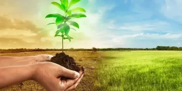 Africa Needs $50bn Annually To Adapt to Climate Change – WMO