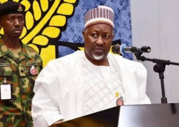 UNGA 79: Nigeria Pushes For Operationalisation Of African Standby Force