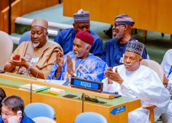 UNGA 79: Nigeria Secures $320m Investment From US To Grow SMEs