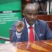 Kenya Launches National Debt Audit Amid Public Pressure – Finance Minister