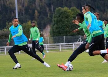 Nigeria: Eguavoen Debunks Stepping Down As Super Eagles Interim Coach