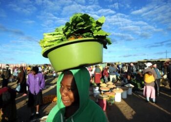 Zimbabwe Prepares For Massive Migrant Influx From South Africa