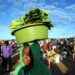 Zimbabwe Prepares For Massive Migrant Influx From South Africa