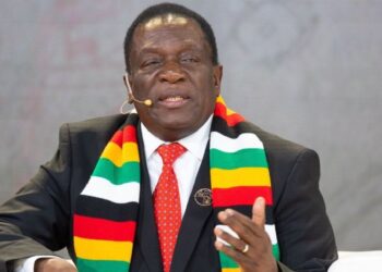 Zimbabwe: President Mnangagwa Vows Drastic Measures After ZIG Currency Plummeted