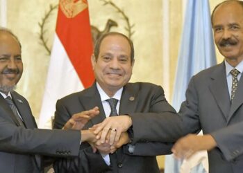 Eritrea, Egypt And Somalia Form United Front Against Ethiopia