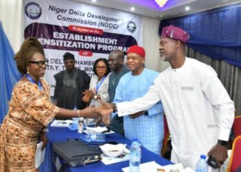 Nigeria: Niger Delta Chamber Of Commerce Will Create Jobs, Boost Businesses – NDDC Boss