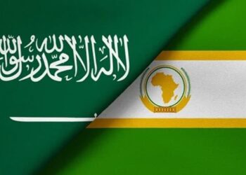 Saudi-Africa Summit Puts Focus On Youth, Electricty And Minerals