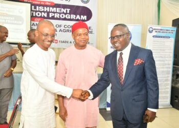 Nigeria: Akwa Ibom Governor Hails NDDC’s Chamber Of Commerce Initiative