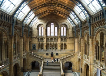 DR Congo: Vandals Attack Mausoleum Of Independence Hero, Lumumba