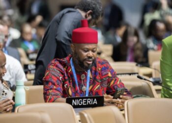 Nigeria Cuts COP Delegation By 55%, Yet Remains Africa’s Largest