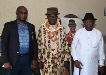 Nigeria: Bayelsa Monarch Hails NDDC Development Projects