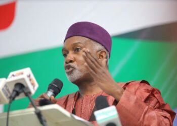 Nigeria Says Destabilisation Claim By Niger Unfounded