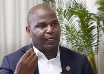 Mozambique: President-Elect Calls For End To Deadly Protests