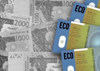 ECOWAS Targets 2027 For ECO Single Currency Launch