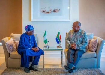 Nigeria Seeks S/Africa’s Support To Secure G-20, BRICS Membership