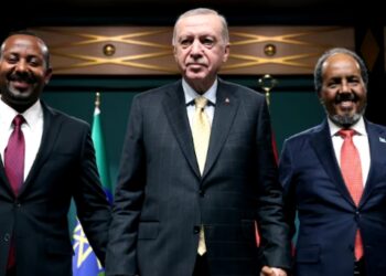 Somalia, Ethiopia To Resolve Somaliland Port Dispute After Erdoğan’s Mediation