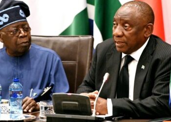 South Africa Supports Nigeria’s G20 Bid, Eyes Lithium Reserves