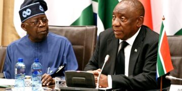 South Africa Supports Nigeria’s G20 Bid, Eyes Lithium Reserves