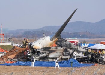South Korea: 120 Confirmed Dead In Plane Crash