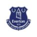 New Owners Take Over Struggling Everton