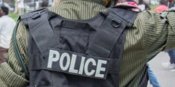Zambia: Drunk Officer Frees 13 Suspects To Celebrate New Year — Police