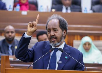 Somalia Celebrates Assumption Of UN Security Council Seat