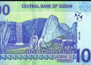 Sudan Introduces New Bank Notes To Boost Economy