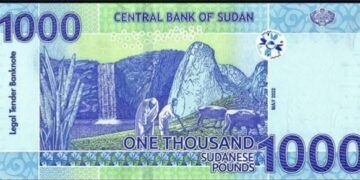 Sudan Introduces New Bank Notes To Boost Economy