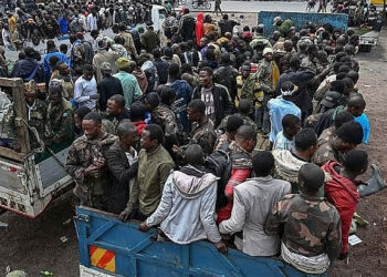 Surrendered Congolese Forces Taken By M23 For Retraining