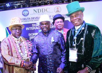 Nigeria: NDDC Seeks Stakeholders’ Support To Develop Niger Delta