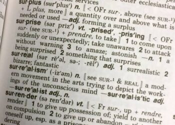 Popular Nigerian Slang Goes Global: ‘Yahoo Boy’, ‘Japa’, ‘Suya’, Added To Oxford English Dictionary