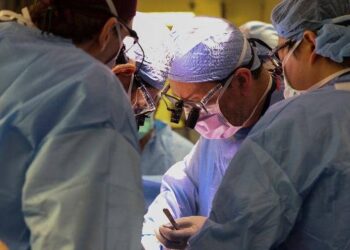US Approves Trial Transplant Of Pig Kidney To Human