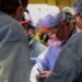 US Approves Trial Transplant Of Pig Kidney To Human