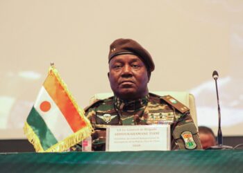 Niger: Commission Proposes 5-Year Transition Period To Civilian Rule