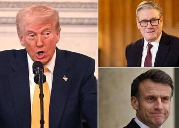 Trump Accuses Starmer, Macron Of Doing Nothing To End Ukraine War